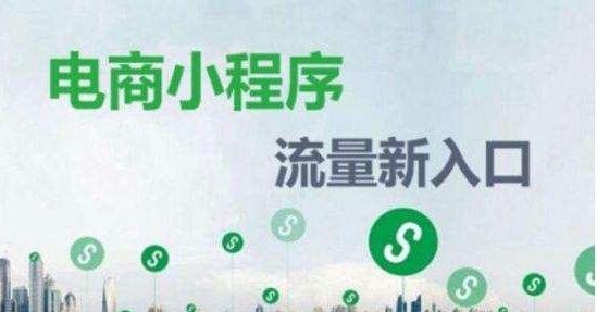 烟台电商平台都在定制电商小程序？